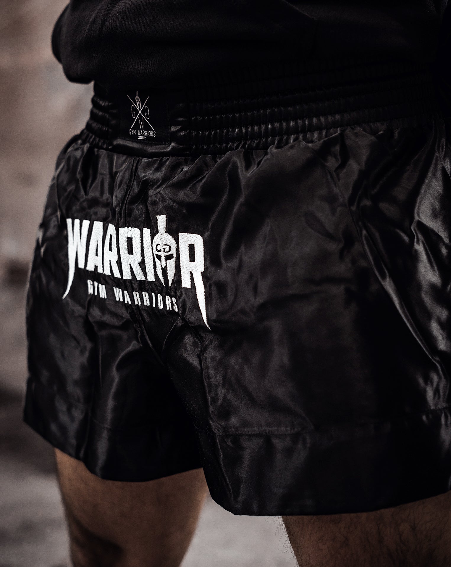 Justering Rastløs Kurve Fight Shorts | boxer shorts | Martial Arts Shorts | Muay Thai shorts – Gym  Generation®